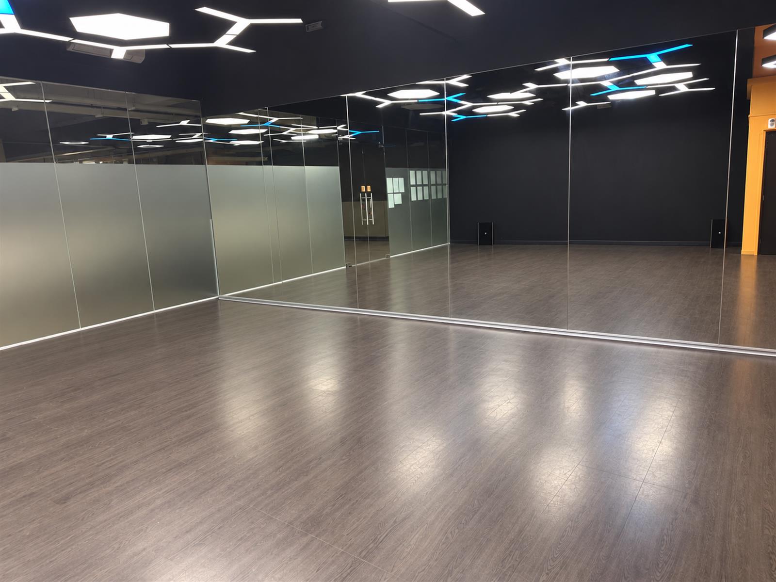 Owner studio photograph showing the mirrors, digitally decluttered